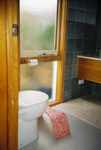 Peachy Poop Stool